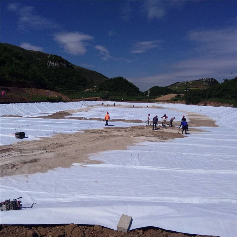 Geotextile