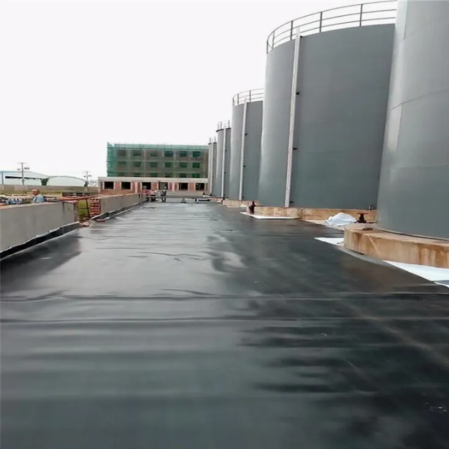 Geomembrane