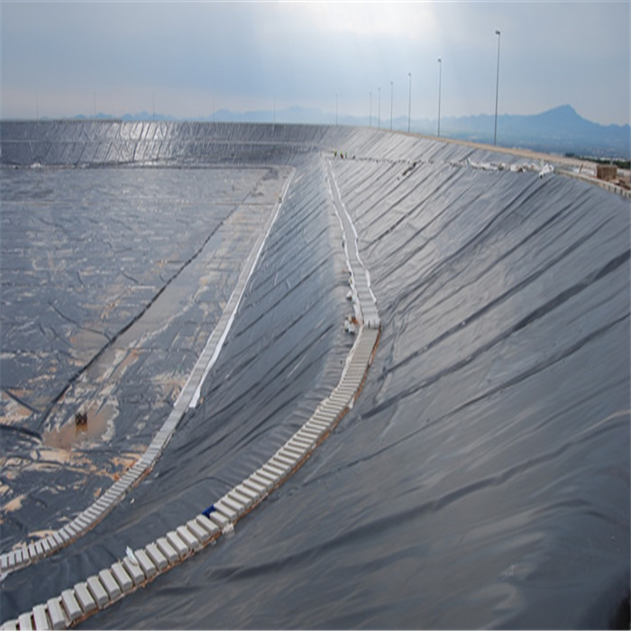 Geomembrane