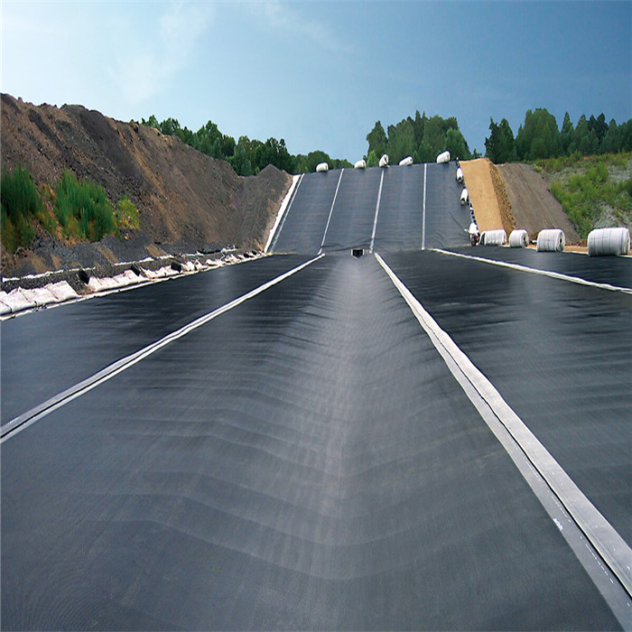 Geomembrane