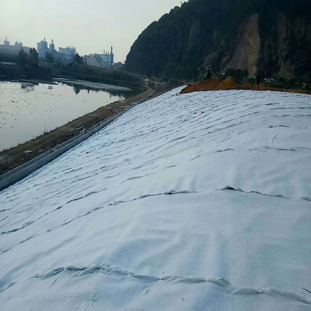 Geotextile (2).jpg Geotextile (2).jpg