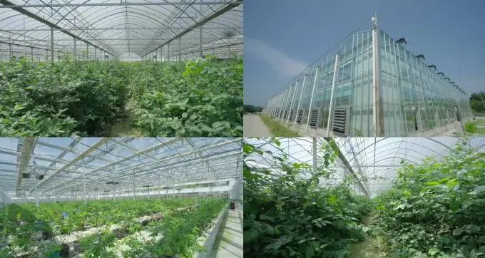 1744353695312.jpg 1744353695312.jpg